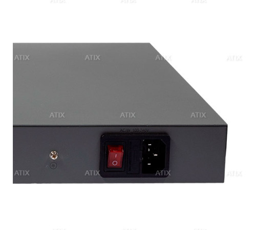 AT-NS-24GP2G-2GS-450 (B)