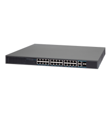 AT-NS-24GP2G-2GS-450 (B)